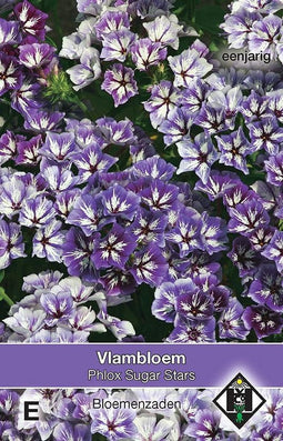 3 stuks Phlox drummondii Sugar Stars