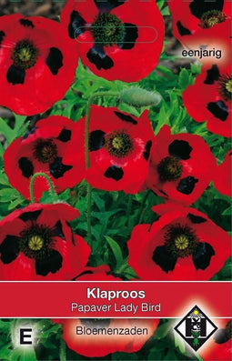 3 stuks Van Hemert & Co Papaver commutatum Lady Bird
