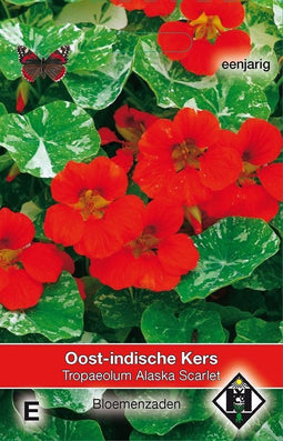 3 stuks Van Hemert & Co Tropaeolum m.n. Alaska Scarlet