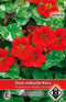 3 stuks Van Hemert & Co Tropaeolum m.n. Alaska Scarlet