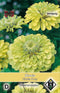 3 stuks Van Hemert & Co Zinnia elegans Envy