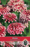 3 stuks Zinnia elegans Mazurkia
