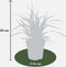 3 x Carex morrowi 'Ice Dance' - Ø 14 cm - ↨ 25 cm