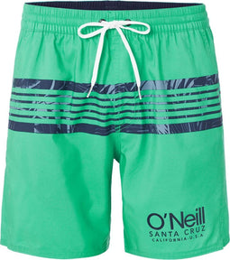 O'Neill Cali Stripe Shorts - Katoenen shorts met elastische taille en Hyperdry - Groen