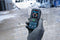 Bosch GLM 50-25 G - Laserafstandsmeter - Groene laserpunt - IP65