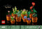 LEGO Icons Miniplantjes - Bouwset voor volwassenen - 9 modelplanten - Terracottakleurig