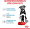 Royal Canin Maxi Natvoer - Puppy-Hondenvoer - 10x140 g