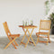 vidaXL - 3-delige - Tuin - Bistro - Set - - - Massief - Acaciahout