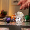 Bakugan - 1 Bakugan Nova Light Seizoen 5 en 2 kaarten - 6 jaar oud - Real Model Boking