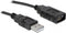 Delock 61460 - USB 2.0 naar Seriële Kabel - 0.80 m - Zwart