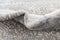 Hadorn Davos Charme Carpet
