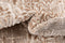 Hadorn Bern Shimmer Carpet