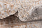 Hadorn Bern Shimmer Carpet