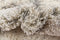 Hadorn Lachen Haze Carpet