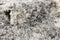 Hadorn Lachen Haze Carpet