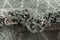 Hadorn Lachen Fence Carpet