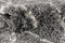 Hadorn Lachen Fence Carpet
