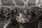 Lachen Fence Carpet