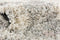 Lachen Haze Carpet