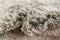 Hadorn Lachen Haze Carpet