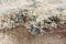 Hadorn Lachen Haze Carpet
