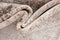 Vidal Airolo Carpet