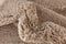 Hadorn Thun Arbor Carpet