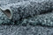 Hadorn Thun Avis Carpet