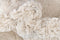 Hadorn Thun Scutum Carpet