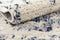 Hadorn Frauenfeld Moana Carpet