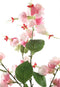 PTMD Garden Flower Clerodendrum Kunsttak - 40 x 29 x 82 cm - Roze