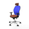 Piqueras y Crespo 1D086N2 - Bureaustoel - Hoofdsteun verstelbaar - Blauw Bruin