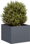vidaXL - Plantenbak - 40x40x30 - cm - staal - antracietkleurig