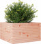 vidaXL - Plantenbak - 80x80x46 - cm - massief - douglashout