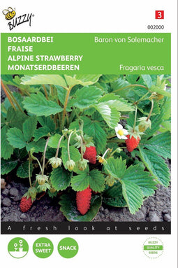 2 stuks - Buzzy - Aardbeien Baron Van Solemacher