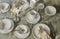 Laura Ashley Artisan Collectables Serviesset 4 persoons - 16 delig