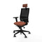 Bureaustoel Piqueras y Crespo 2D066G2 Bruin