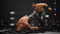 THQ Nordic AEW All Elite Wrestling - Fight Forever - Nintendo Switch - Online coöp en carrièremodus