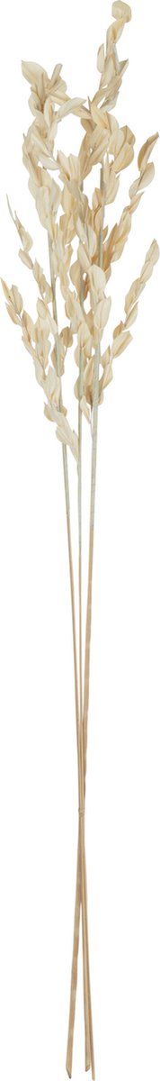 J-Line gedroogde Bladeren - jute - naturel - small