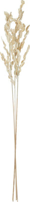 J-Line gedroogde Bladeren - jute - naturel - small