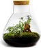 Erlenmeyer L Bonsai