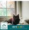 Homewell Raamfolie HR++ - Zonwerend & Isolerend - Statisch - Regenboog Scherven 45x300cm