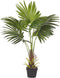 Beliani FAN PALM - Kunstplant - Groen - Kunststof