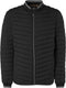 No Excess Jacket - Gewatteerd - Regular fit met ribkraag - Zwart