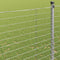 vidaXL - Veldhek - 1,6x10 - m - Gegalvaniseerd - Staal