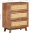 vidaXL - Dressoir - 61x35x76 - cm - massief - mangohout
