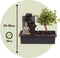 Plant in a Box - Bonsai boompje met Easy-care watersysteem én stromende waterval over Buddha beeldje - kamerplant - Hoogte 25-35cm