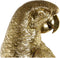 Decoratieve figuren DKD Home Decor Gouden Hars Papegaai Tropisch (21 x 18 x 79 cm)