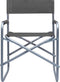 vidaXL Regisseursstoelen - Staal - Grijs - 48 x 57 x 79 cm