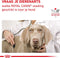 Royal Canin Veterinary Diet Gastro Intestinal - Hondenvoer - 2 kg